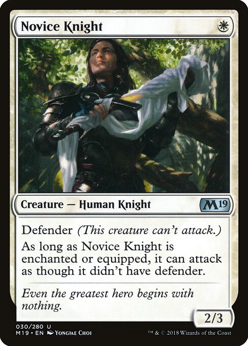 Novice Knight — Core Set 2019 #30 — Non Foil — reference image 1