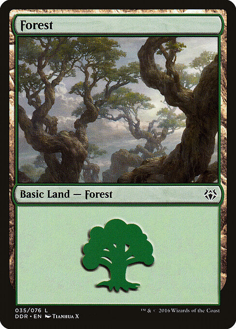 Forest — Duel Decks: Nissa vs. Ob Nixilis #35 — Non Foil — reference image 1