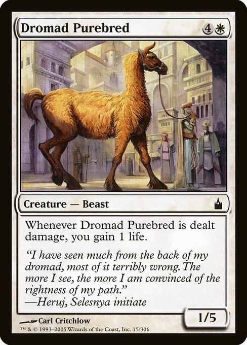 Dromad Purebred — Ravnica: City of Guilds #15 — Non Foil — reference image 1
