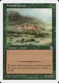 Trained Jackal — Portal Three Kingdoms #155 — Non Foil — reference image 1