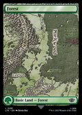Forest — The Lord of the Rings: Tales of Middle-earth #281 — Non Foil — reference image 1