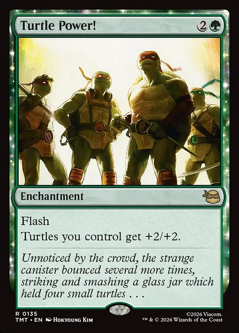 Turtle Power! — Teenage Mutant Ninja Turtles #135 — Foil — reference image 1