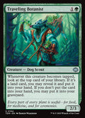 Traveling Botanist — Tarkir: Dragonstorm #164 — Non Foil — reference image 1